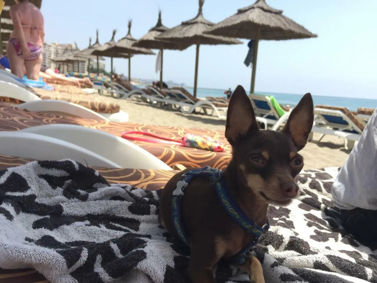 Central And Beach 3 Bedroom Apartment Perfect Location Near Pyr Fuengirola